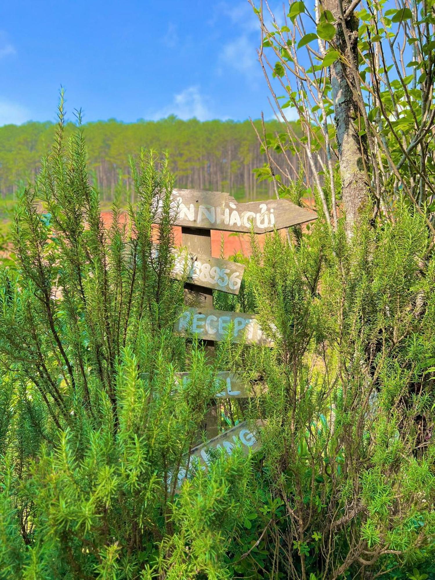 Vuon Nha Cui Homestay 大叻 外观 照片