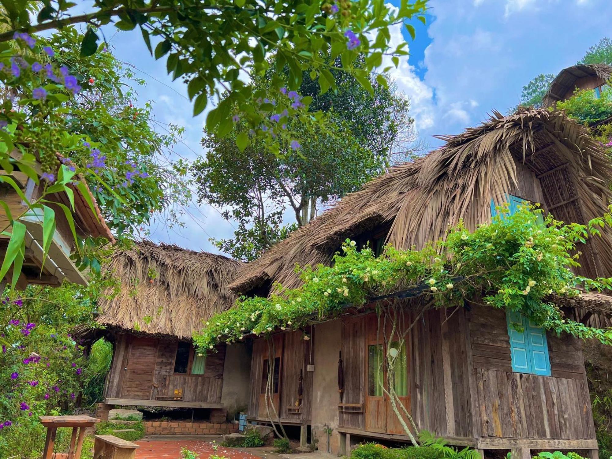 Vuon Nha Cui Homestay 大叻 外观 照片