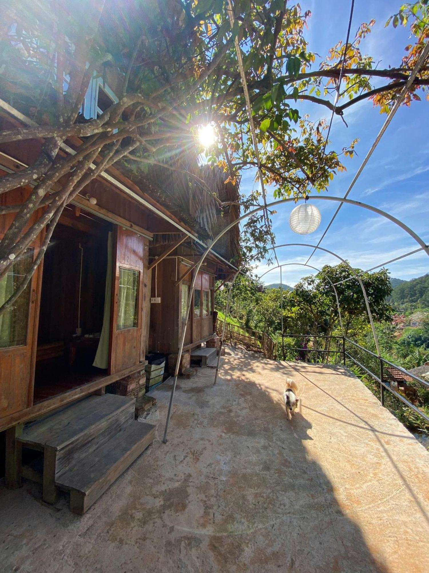 Vuon Nha Cui Homestay 大叻 外观 照片
