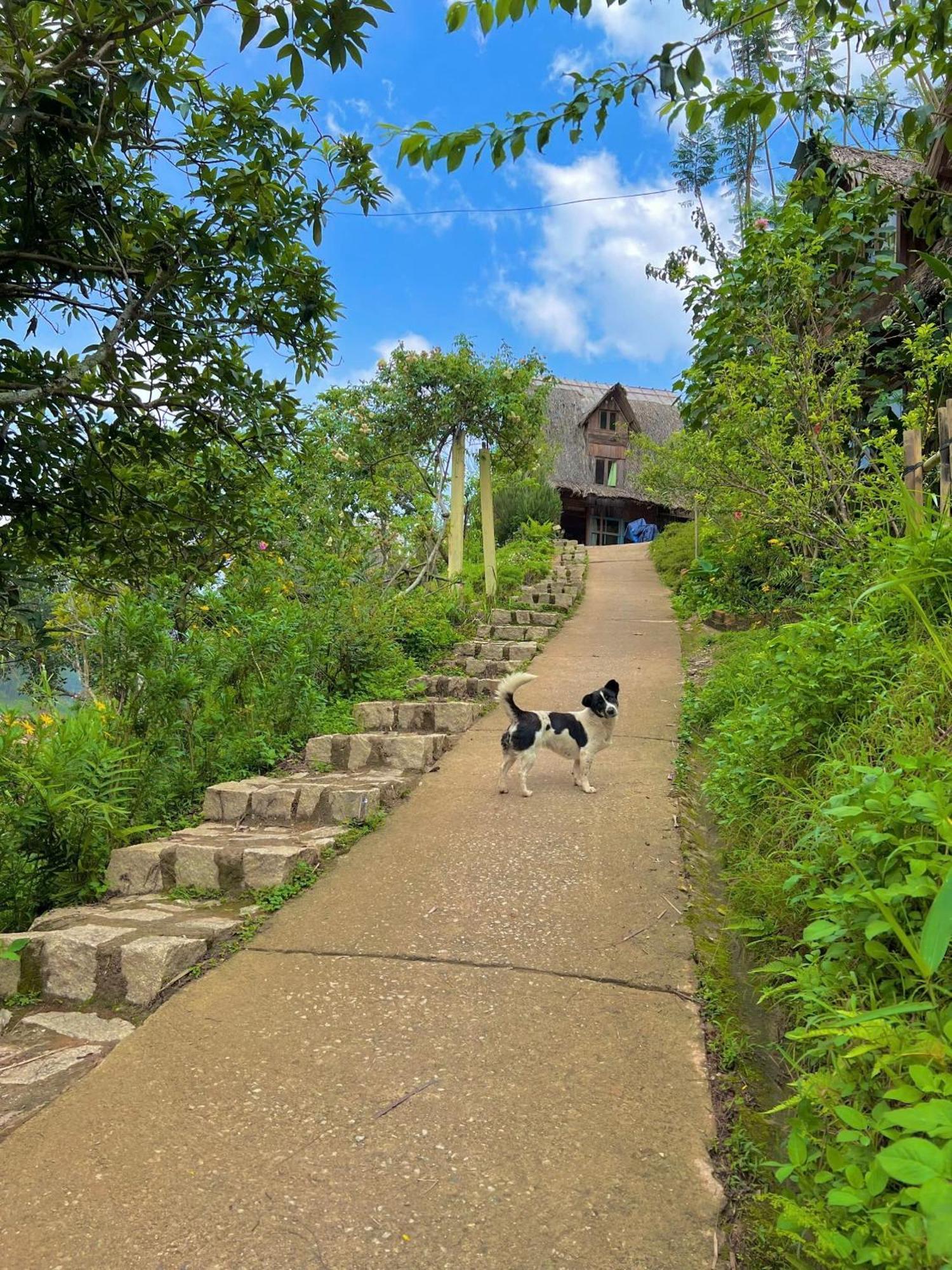 Vuon Nha Cui Homestay 大叻 外观 照片